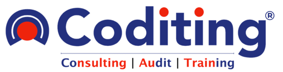 Coditing: Consulting, Audit, Training